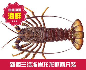 【直发回国】新西兰活冻龙虾（澳龙）两只装450-500G/只